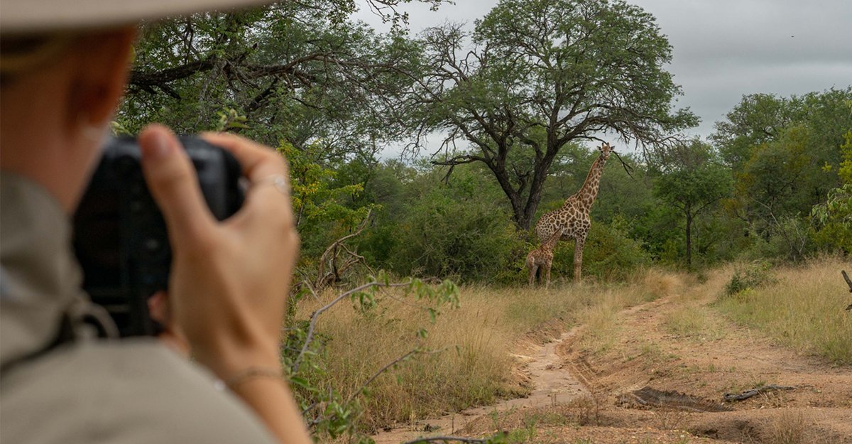 EcoTraining's tweet image. EcoTraining's NEW On-Demand Field Guide Course allows you to learn at your own pace and convenience towards a career in guiding.

Read all about it in today's blog, 'EcoTraining's NEW On-Demand Field Guide Course' HERE: 
👉ow.ly/Vpmp50PFPSy👈

#fgasa