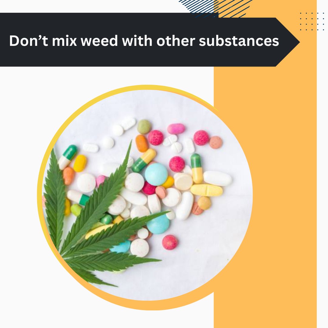 Safety is at the core of responsible cannabis 🌿 consumption. Discover the importance of responsible use and our top tips for a secure experience. 🚀💨 

#ResponsibleCannabis #CannabisWisdom #SaferCannabis #CannabisTips #CannabisSafety #StayInControl #ResponsibleUse #Cannabis