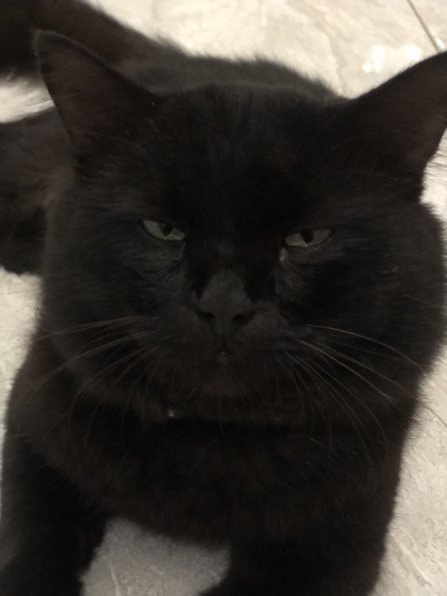 Dede wafers (@deedee_wahyu) on Twitter photo 