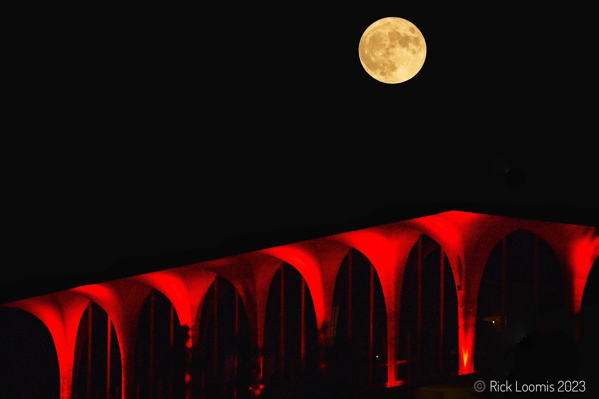 Rick Loomis tweet media