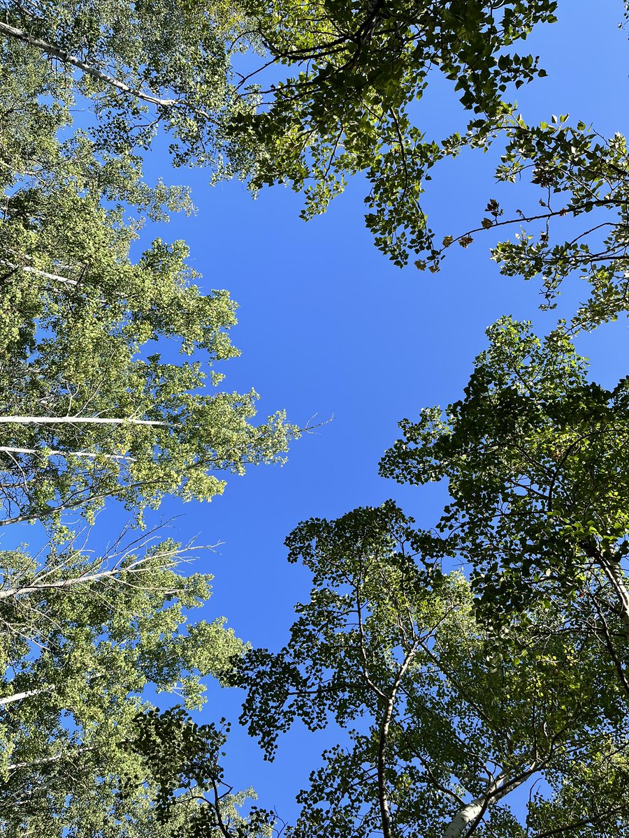 AlexMunroCBE tweet media