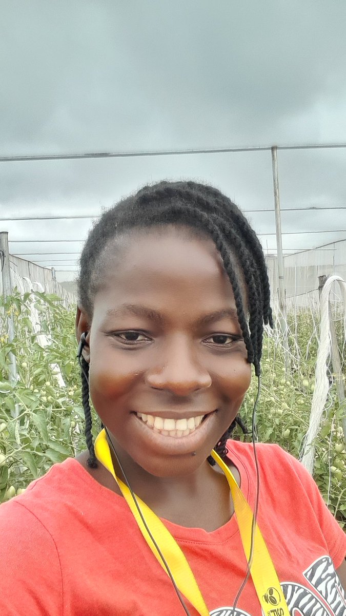 Joyobikobe1's tweet photo. Quality seeds are available at affordable prices including Okra seeds, Cucumber seeds, etc 

Click this link 👇to reach me
https://t.co/mWYeYOoHdS

Stay tuned to order fresh from the farm!

#EYiABeta
#ApothemsFutureFarms
#Greatjoysofti
#TheJoyousfarmer
#EYiA https://t.co/5BWgudl7Vk