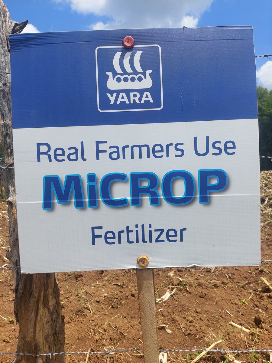 Good morning everyone 🌄
@yara products
From @YaraKenya 
#MboleaNiYara 
#RealFarmersUseMiCrop 
#knowledgeGrows