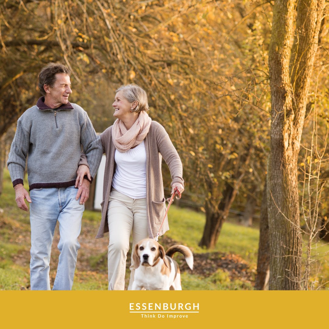 Essenburgh tweet media