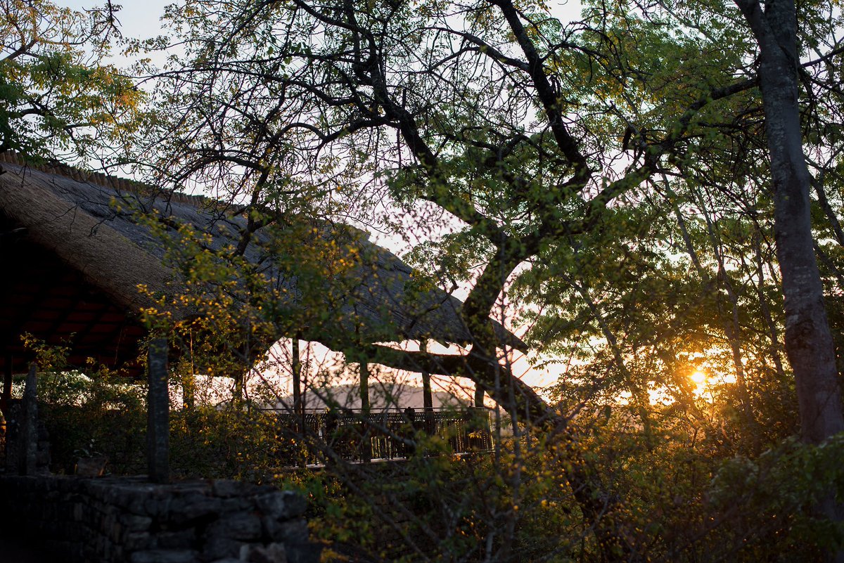 lodge_city's tweet photo. 🌆 Rise early, for the sunrise over the savannah is a sight you'll never forget. Get ready to dive into the heart of adventure as we uncover the secrets of the wild. #SunriseSafari #AdventureAwait #Wezhira #GreatZimbabwe

Call us today! +263782780800 https://t.co/ui470BkEDw
