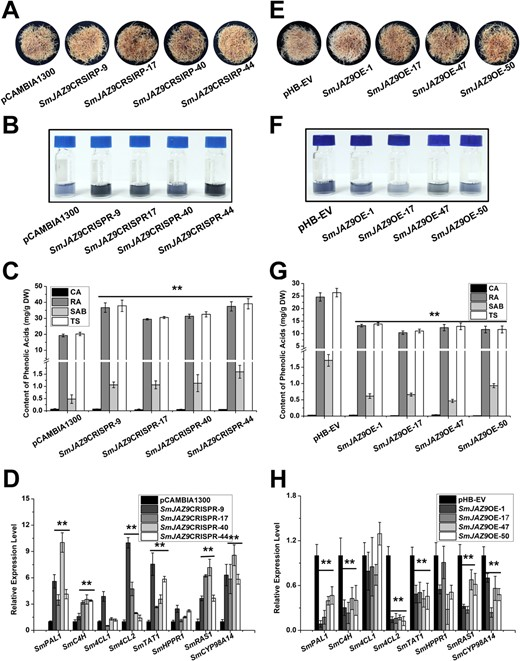 Hortres's tweet photo. JA signaling in Salvia miltiorrhiza involves SmJAZ9-SmMYB76 complex regulating phenolic acid biosynthesis. New insights into plant metabolism regulation. ๐ฟ#PlantScience #JASignaling
@OxfordJournals
Details: https://t.co/jf1Mped9Zd https://t.co/SaDPtmK7rR