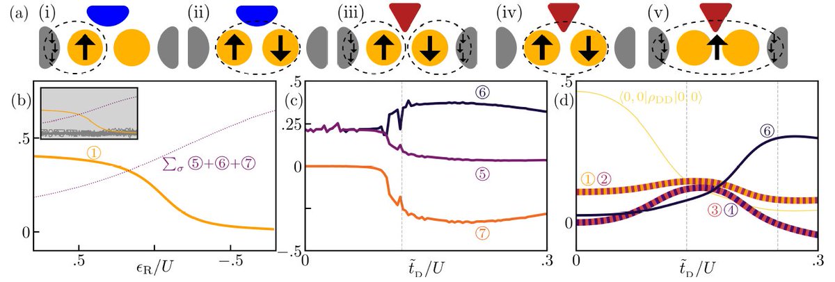 Out today @arxiv: arxiv.org/abs/2308.16009. We (with @stockerlidia) harness tensor networks to find the many-body phases of separated quantum dots. Here, coherent RKKY interaction leads to a spatial superposition of Kondo singlets, dubbed Kondo cat. @UniKonstanz @ETH_physics