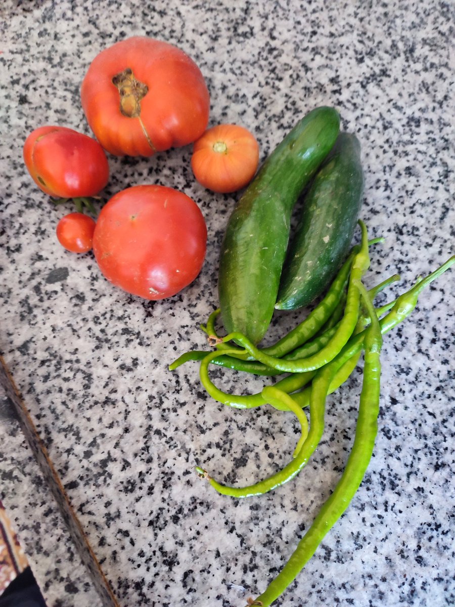 Kahvaltı için ihtiyaç duyduklarını o an bahçeden toplamanın güzelliği #köy #doğa #doğalhayat #tarim #mutluluk