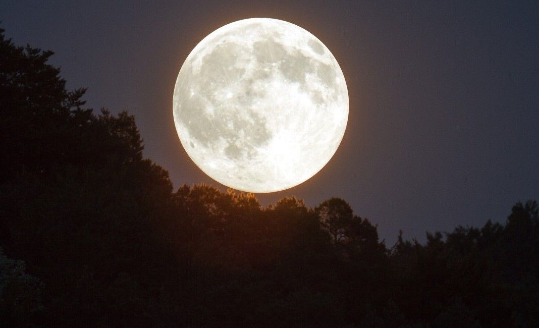 The moon is the reflection of your heart and moonlight is the twinkle of your love.
#BlueMoon 
#Just_Saying