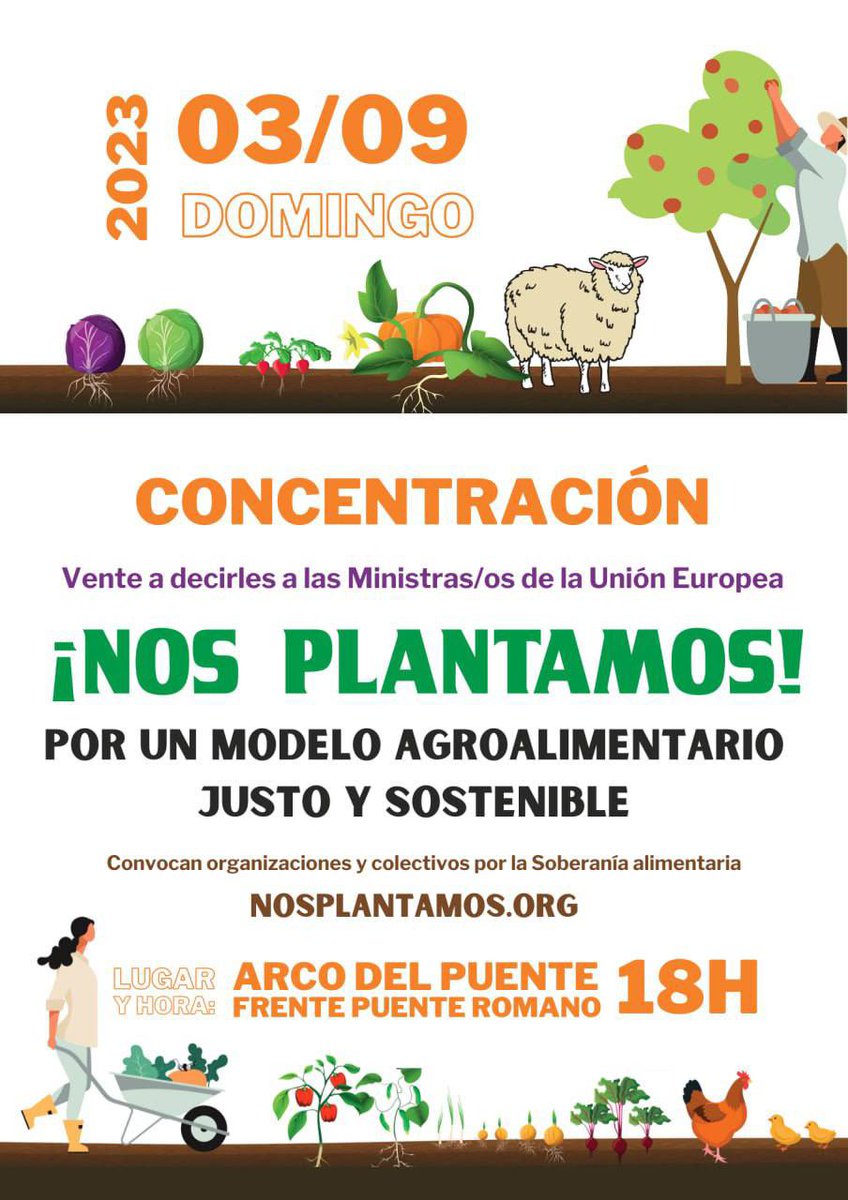 Elisa OtRa tweet media