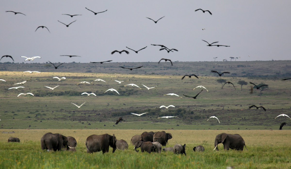 Tara Turkington tweet media