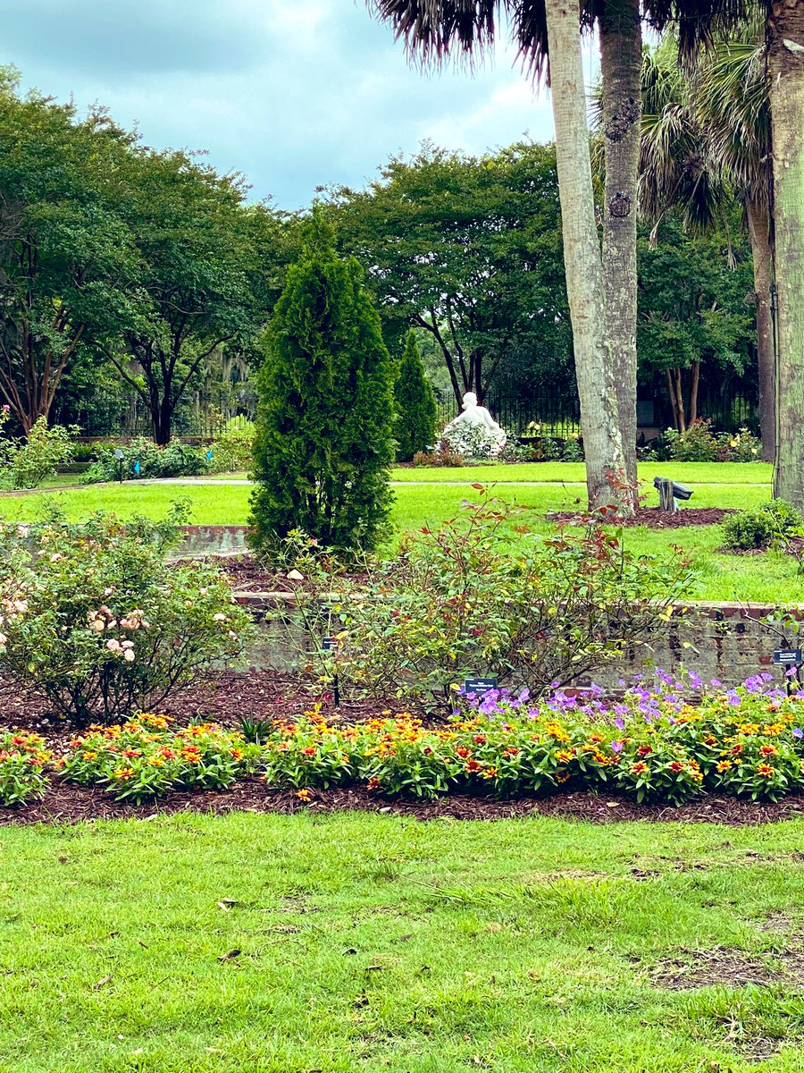 TealSeptember's tweet photo. #BrookgreenGardens #Botanicalgarden in #GeorgetownCounty, #SouthCarolina Named one of the Top 10 Gardens in the US by Trip advisor. It has sculpture gardens and wildlife preserve,located just south of #MurrellsInlet. It has 9,100-acres.We had a wonderful time there.#garden #zoo https://t.co/4zzAtdV5jG