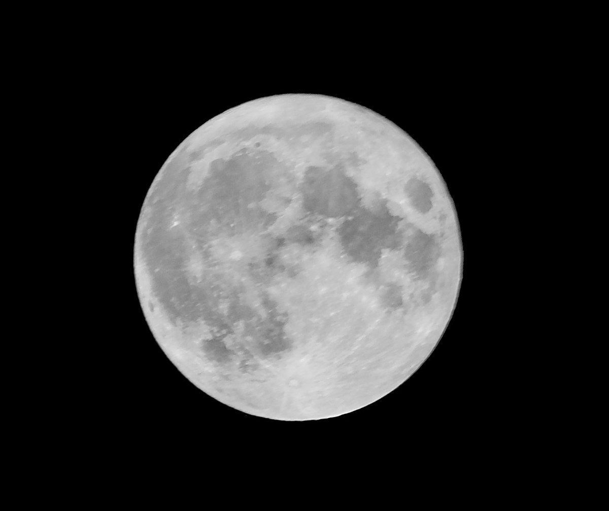 Tonight's Supermoon. Got a photo in just as it was starting to get a little hazy outside. #supermoon #Supermoon2023