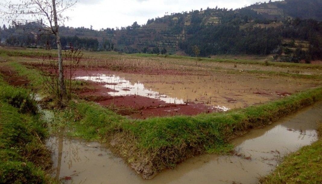 EricRukebesha's tweet photo. Losing soil due to flooding is losing food our community.
#reduceflood #savepeoplelives https://t.co/A1fN679b93