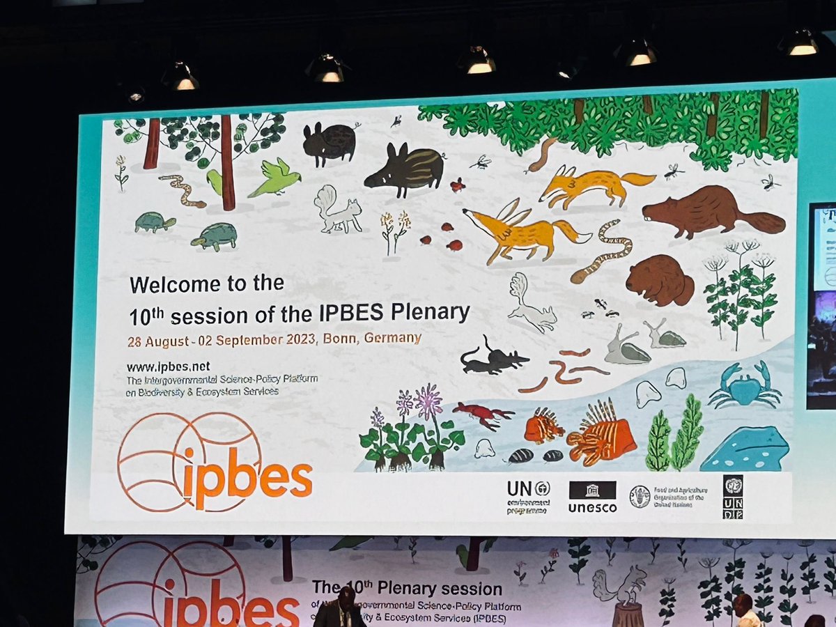 InvasionS_cibio's tweet photo. This week our PI, @JoanaRSVicente (Fellow in Chapter 1 of the Assessment) is at the #IPBES10 plenary for the discussion and and approval of the IPBES Invasive Alien Species Assessment. https://t.co/azH0blZrSu