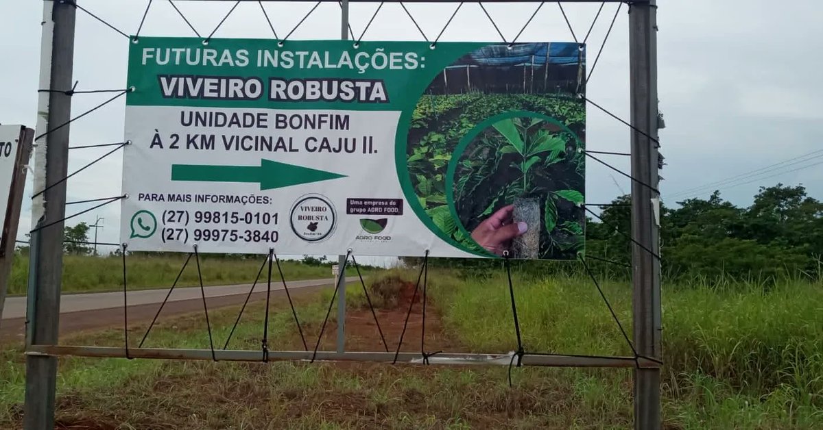 aluizionassi's tweet image. Início da obra do &quot;Viveiro de CAFÉ ROBUSTA&quot; que produzirá 3.000.000 de mudas com alta tecnologia e qualidade #Café_Roraima

#Roraima_HemisférioNorte
#Roraima_AMelhorFronteiraAgrícolaDoBRASIL
#Agro_Roraima 
#AmbientalmenteCorreto 
#RoraimaEstadoLuz 🌞
#AtraçãoDeInvestimentos 🏁🏁