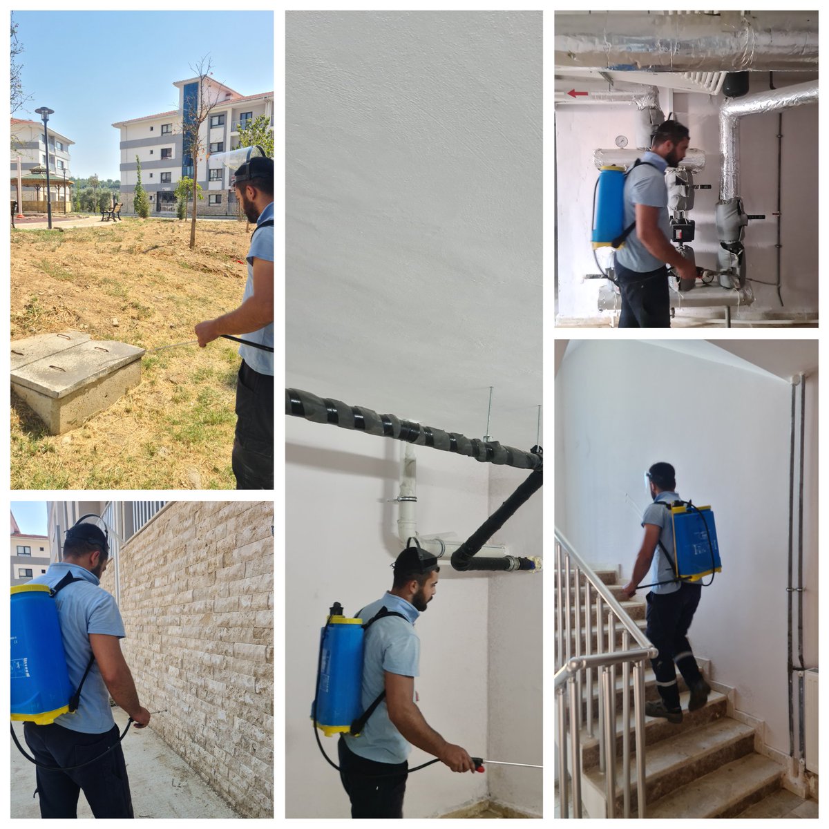 Sitemizde haşere ilaçlaması  bitmiş bulunmaktadır.