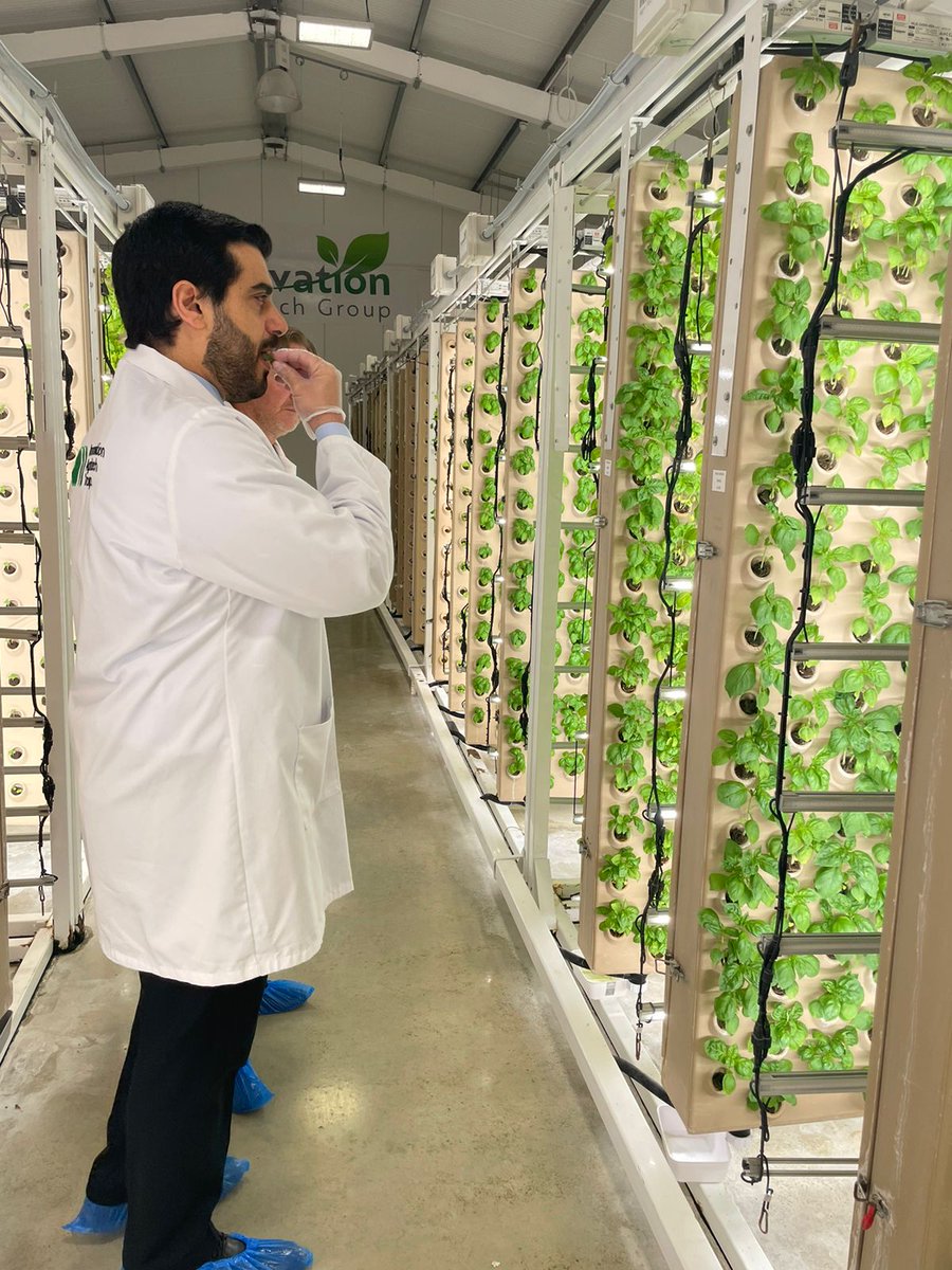 UAE Embassy UK tweet media