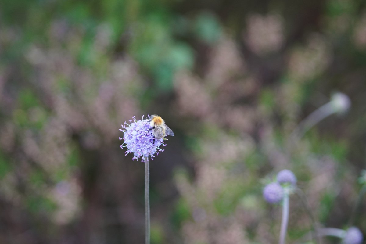 Ruari Saunders Photography tweet media