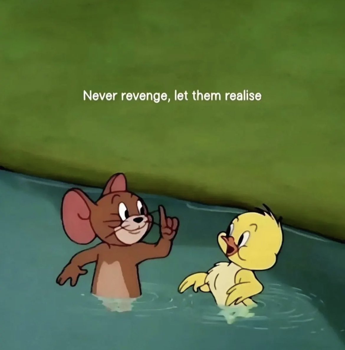 doctornine tweet media