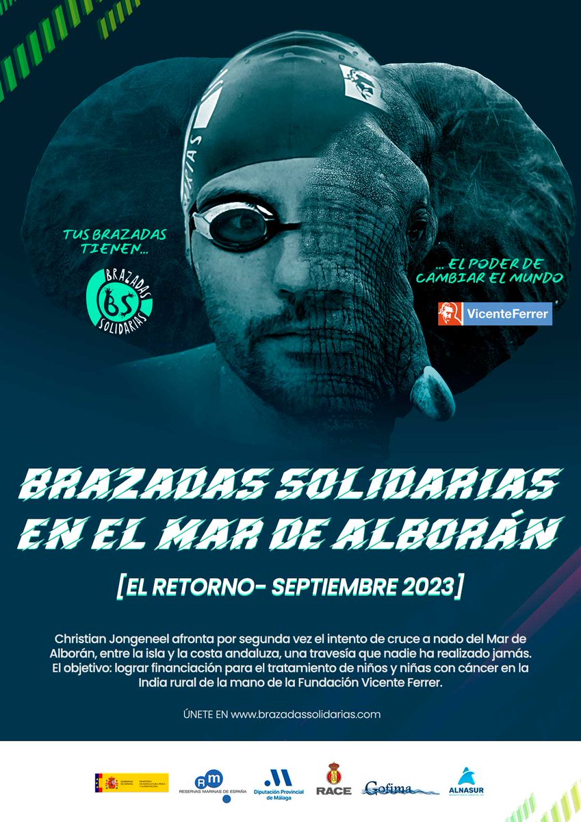 Brazadas Solidarias tweet media