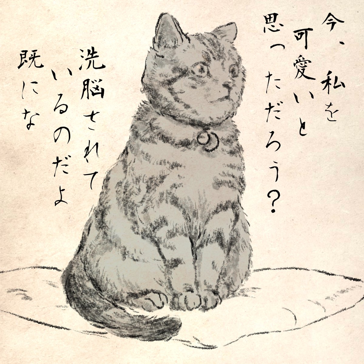 今日の猫ちゃん。 