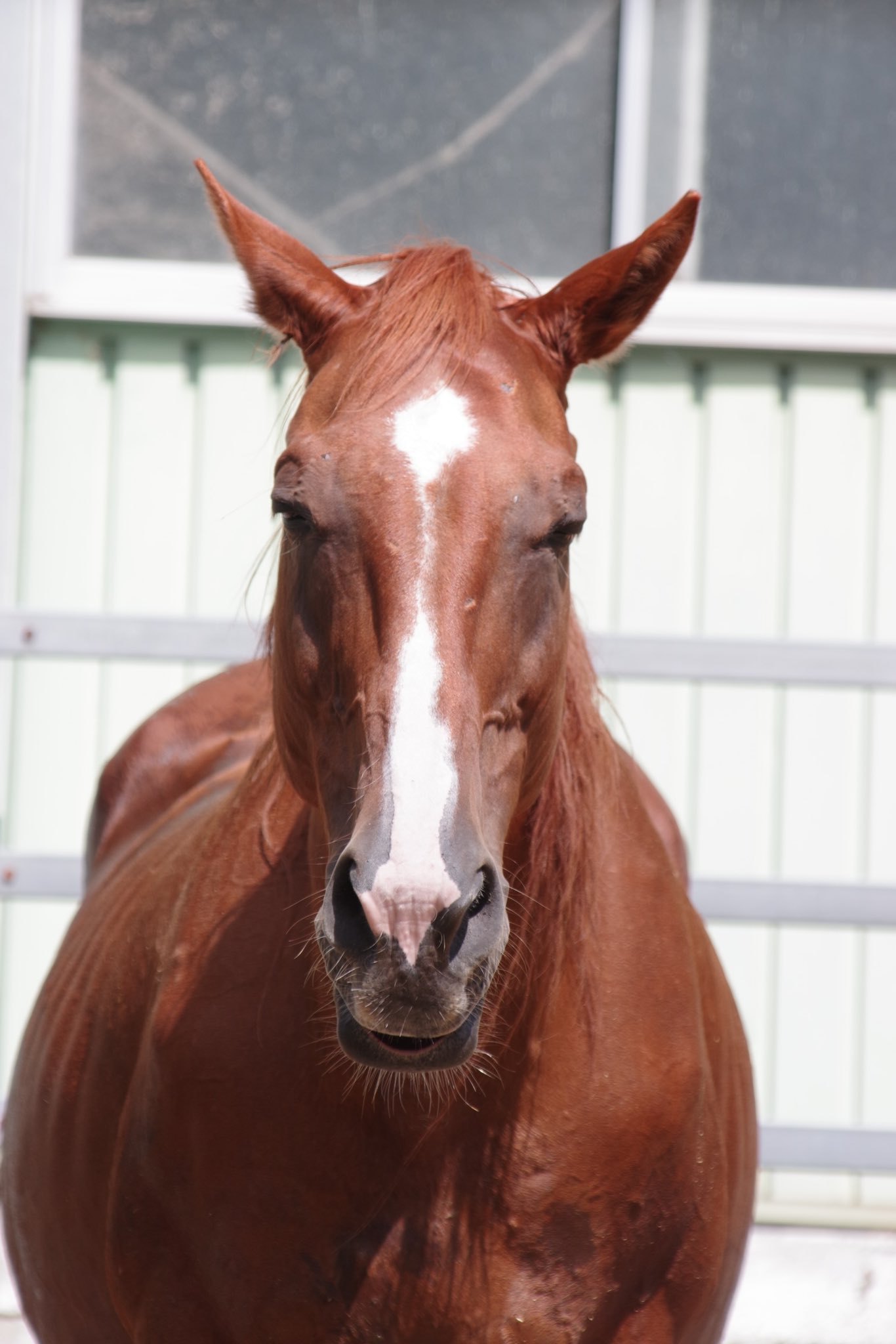 A ♬ ページ 💚❤️🩵𝕙𝕚𝕣𝕒𝕘𝕒𝕟𝕒 💛🖤🩷 (@hg_5656) / X