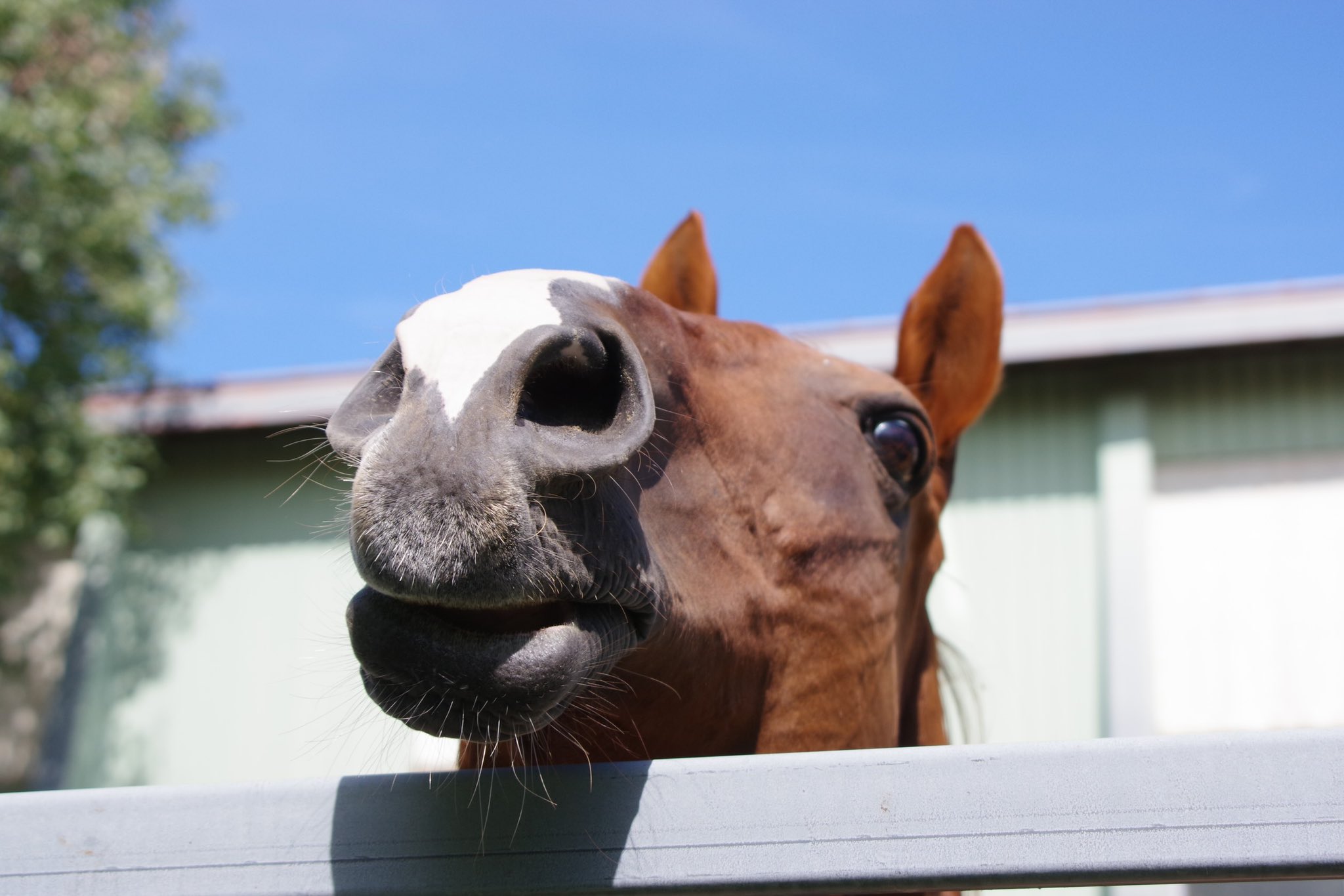 💚❤️🩵𝕙𝕚𝕣𝕒𝕘𝕒𝕟𝕒 💛🖤🩷 (@hg_5656) / X