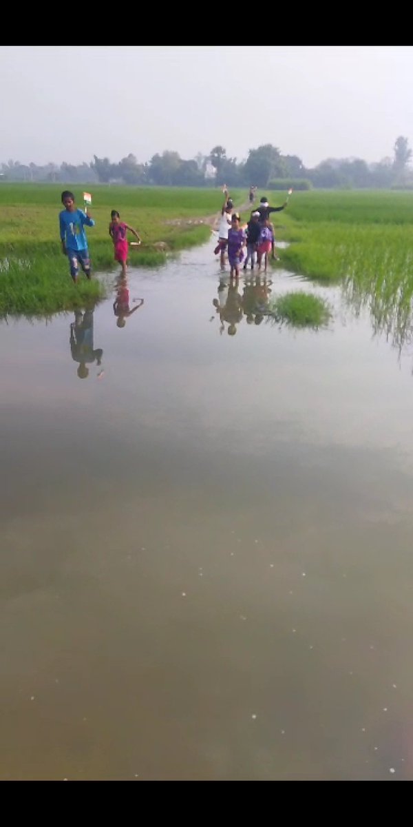 RAMAVTA23180796's tweet photo. महोदया, सादर प्रणाम
           आपको अवगत कराना हैं कि ग्राम जबरापार, विकास खण्ड - सादात के प्राथमिक विद्यालय पर जाने का रास्ता अत्यन्त खराब है कृपया इसे सही कराने की कृपा करें।जिससे बच्चों की पढ़ाई समुचित रूप से हो सके, महती कृपा होगी। https://t.co/sVvdZaRgfe
