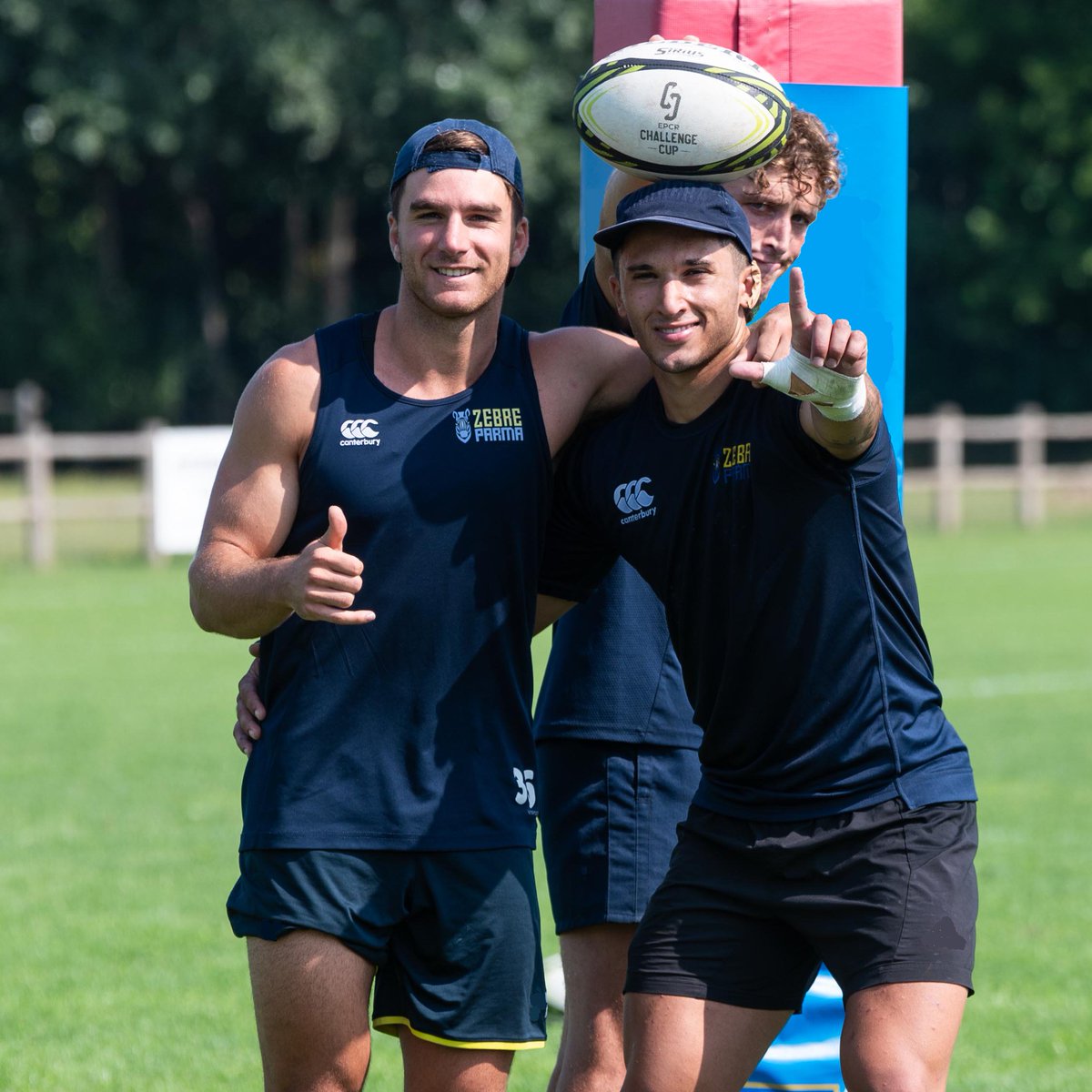 Zebre Parma 🦓 tweet media