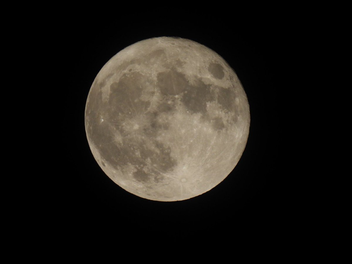 nanatuseotome's tweet image. #スーパーブルームーン #P950

ちょっっと雲が。