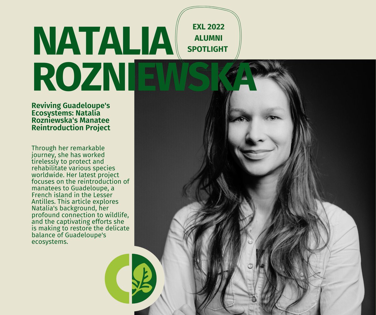 New on WILD Voices! Natalia Rozniewska, a passionate wildlife veterinarian, has dedicated her life to environmental conservation. Through her remarkable journey, she has worked tirelessly to protect and rehabilitate various species worldwide. Read more: wild.org/blog/coalition…