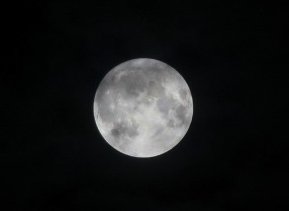 Average photo of the Super moon last night.
