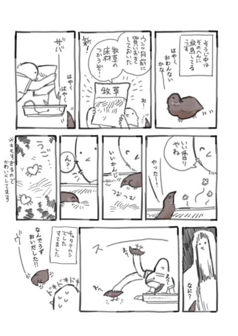 ヒメウズラのうずちゃん5

牧草を暑くて湿気のある場所に長期間おいてると大変なことになる話です。うずはかわいいです。
   #ヒメウズラ  #うずちゃん  #鳥漫画 