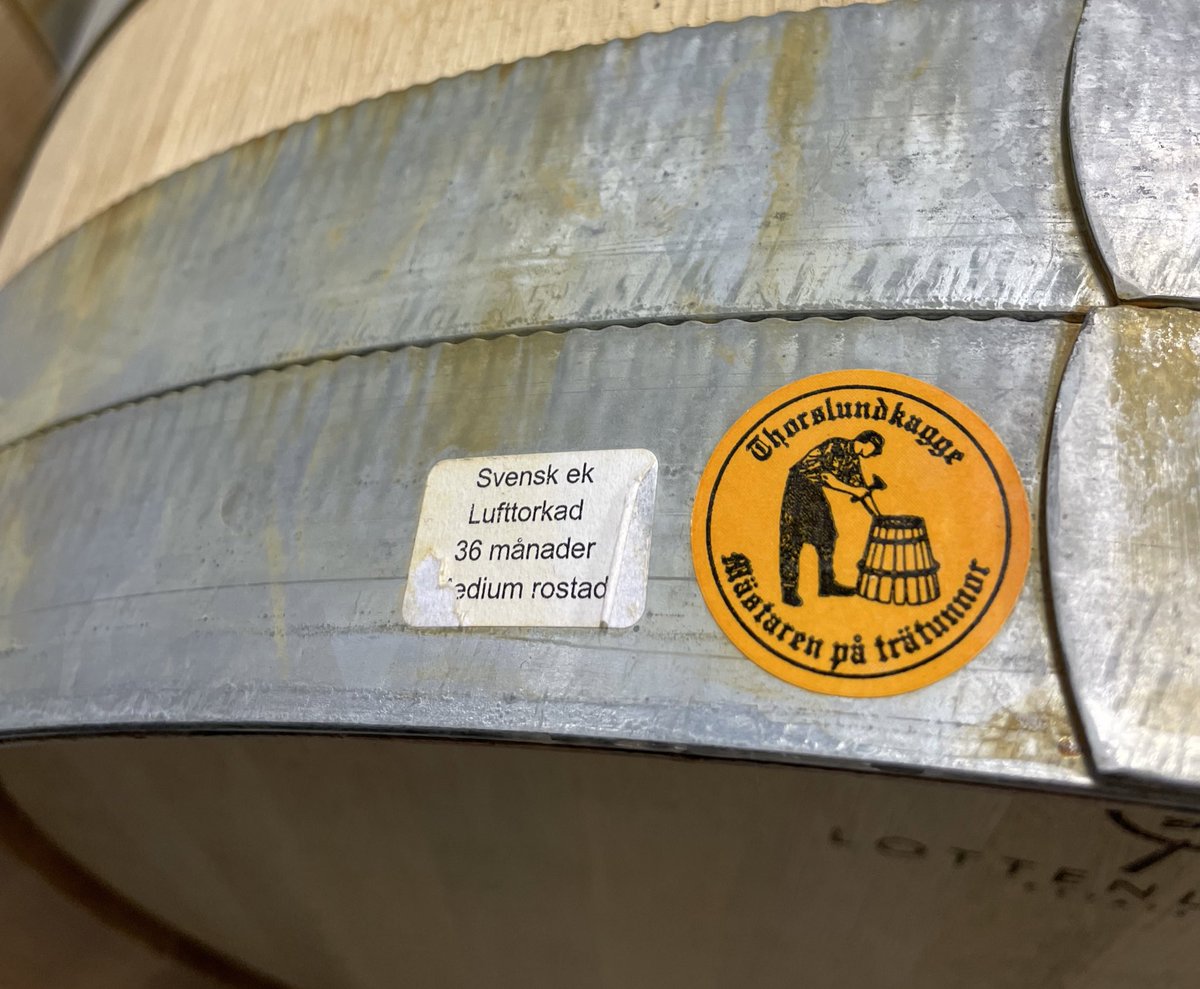 Joe Fattorini tweet media