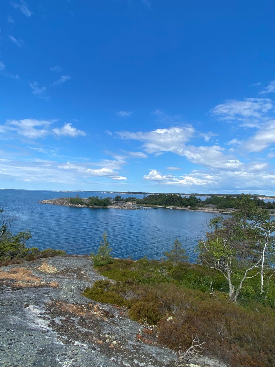 Hyvää Itämeripäivää! 💙Olemme Itämeri-sitoumuksellamme tukemassa @BSAG_   työtä Itämeren hyväksi. Sitoumuksen ytimessä on maaperän kasvukunnon parantamisesta ja hiilensidonnasta oppiminen ja viestiminen. Olemme myös #CarbonAction -yritysalustassa.
#huomisenpuolustaja #itämeri