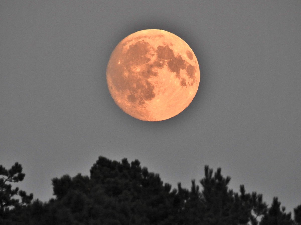 Supermaan gisteravond….#Ameland.