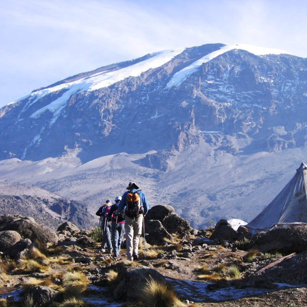 JerryTours's tweet photo. Climbers believe that on the Kilimanjaro Climb, they will not be accompanied by other climbers. But what about Kilimanjaro Guides and porters?

visit @ https://t.co/ZjOkXt7eZq

Book now

Email: info@jerrytanzaniatours.com

Phone: +255 742 799 217

#Jerrytanzaniatours #Uhurupeak https://t.co/zEgVxP5xGf