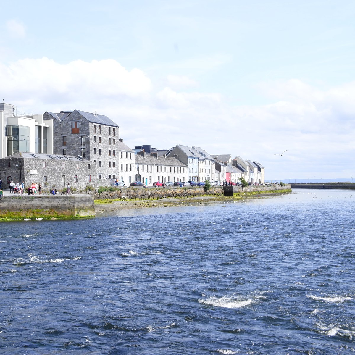 Università Ca' Foscari Venezia tweet media