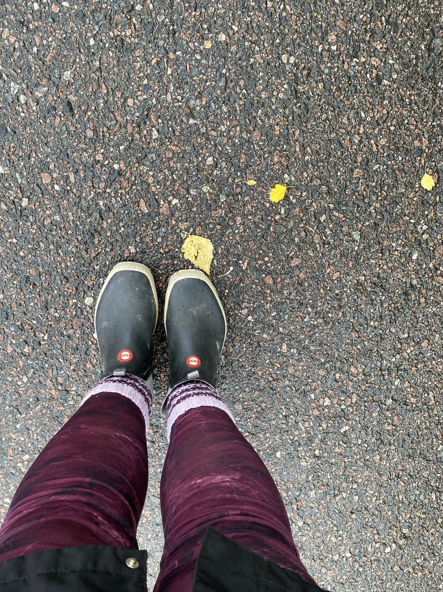 Mari Hankia tweet media