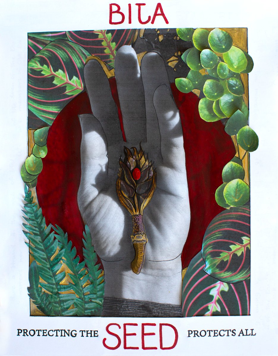 Fearless Collective tweet media