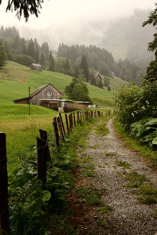 Feriminaee's tweet photo. Nature, Uttal, Switzerland🌬🌥☂️🇨🇭
@Architectolder 
#nature #road #fog #travel #farm #forest #eternalview #mountain #waterfall #photography #cottage #dust #Otal #Switzerland #landscape #favorite #NaturePhotography https://t.co/ZpeBUVB3i2