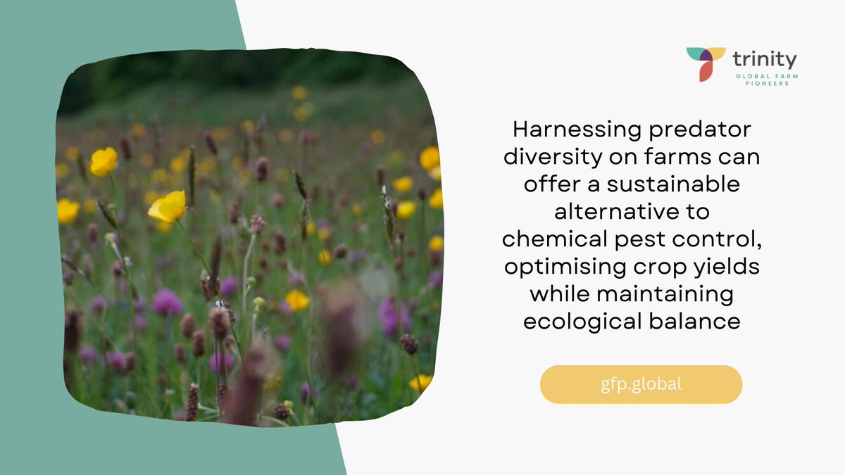 Trinity Global Farm Pioneers tweet media