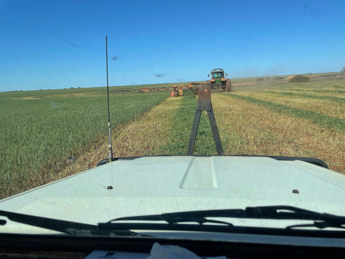 Scott Bowman tweet media