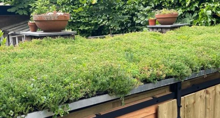 10 biobased bouw­ma­te­ri­a­len en hun toe­pas­sin­gen
Biobased materialen spelen een steeds grotere rol in de bouwsector. Het gaat om duurzame materialen afkomstig uit natuurlijke bronnen, met daardoor een lage milieu-impact en ze zijn ook hernieuwbaar.
cutt.ly/1wtWbMTh