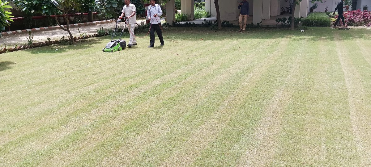 IhtGreaternoida's tweet photo. Gardeners deputed by U.S Embassy to Institute of Horticulture Technology, Greater Noida, undergoing  'Hands on Trainings' in Pruning ,Lawn mowing, Vertical Garden under Supervision of IHT expert.

#verticalgarden #lawngardening #horticulturecourse #nurserycourse https://t.co/MSwKmzYuF1