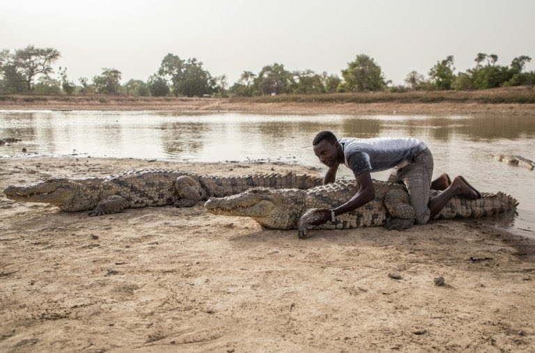 ChrisExcel102's tweet photo. - Niger doing coup to save their country 
- Burkina Faso saving their country 
- Gabon Saving their country 

Zimbabwe: https://t.co/ikiEaTsFC5