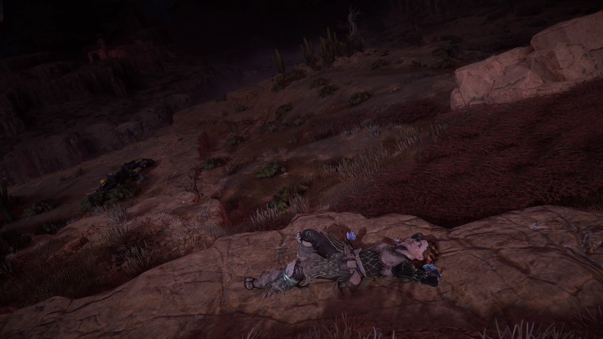 adhd_dust_devil's tweet photo. Well deserved relaxation #HorizonZeroDawn #PS4share https://t.co/z75NVsJiWm