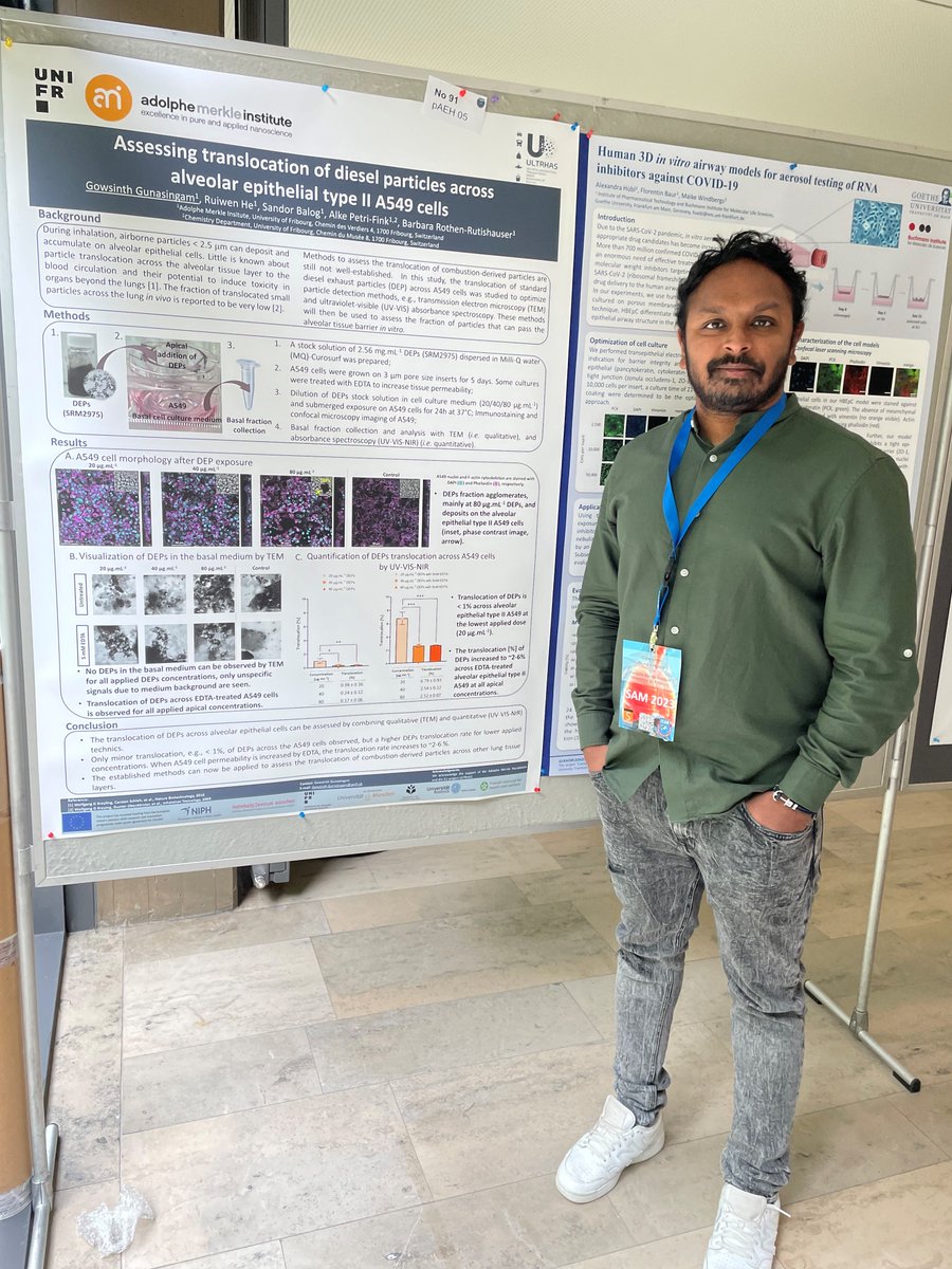Excited to share our research on assessing traffic-related nanoparticles' translocation across alveolar epithelial layers at #ISAMCongress2023 @aerosolmedicine. Huge thanks to our ULTRHAS collaborators and funding support @UltrhasEU @MerkleInstitute @unifr #Nanoparticles