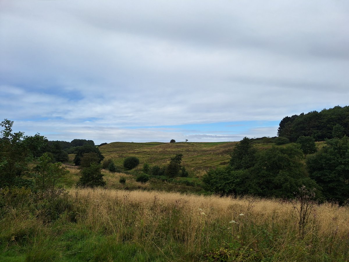 Sam from our Communications team returned for his second visit to Snipe Dales to see how work on the site can change on a monthly basis. This time included a close look at how the volunteers help out on a site like Snipe Dales: lincstrust.org.uk/blog/sam-dawso…